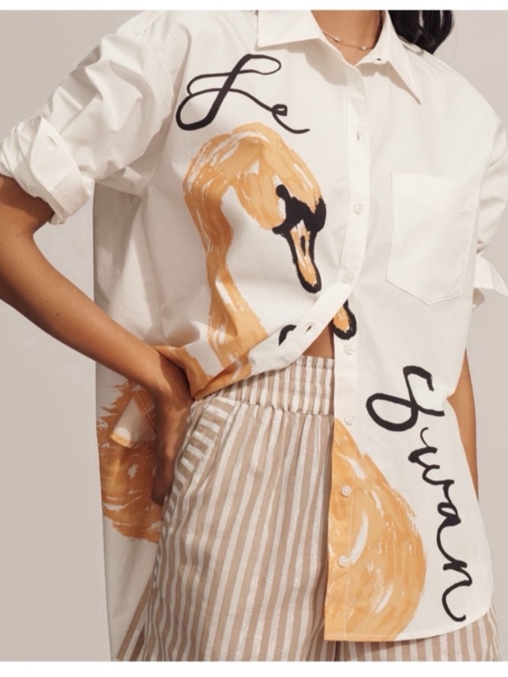 NWT Anthro Dirkie Nell and Phthalo Ruth:
 The Bennet SWAN Buttondown Shirt, L